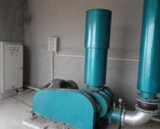 三葉羅茨鼓風(fēng)機