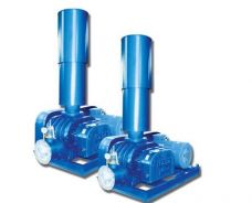 JGR系列5030羅茨鼓風(fēng)機